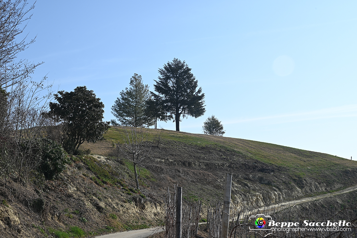 VBS_1145 - Santo Stefano Roero.jpg